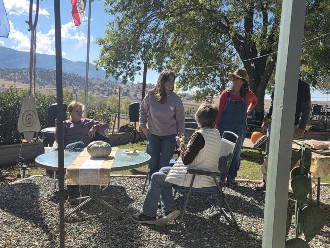Thachapi Tehachapi Harvest Festival runs 2 days this year after positive ...