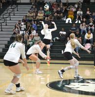 Sports Roundup: Volleyball sweeps the Scots at home