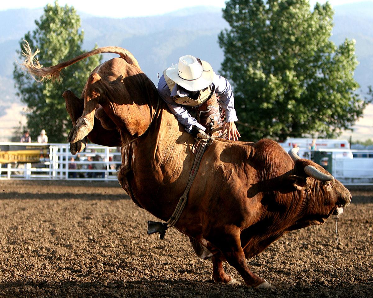 Bull riding competition to take place on the Fourth of July Sports