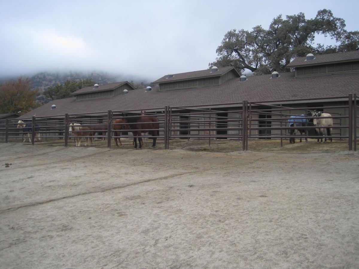 Cowboy Up! Tehachapi is all about horses Lifestyle