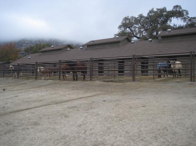 Cowboy Up! Tehachapi is all about horses Lifestyle