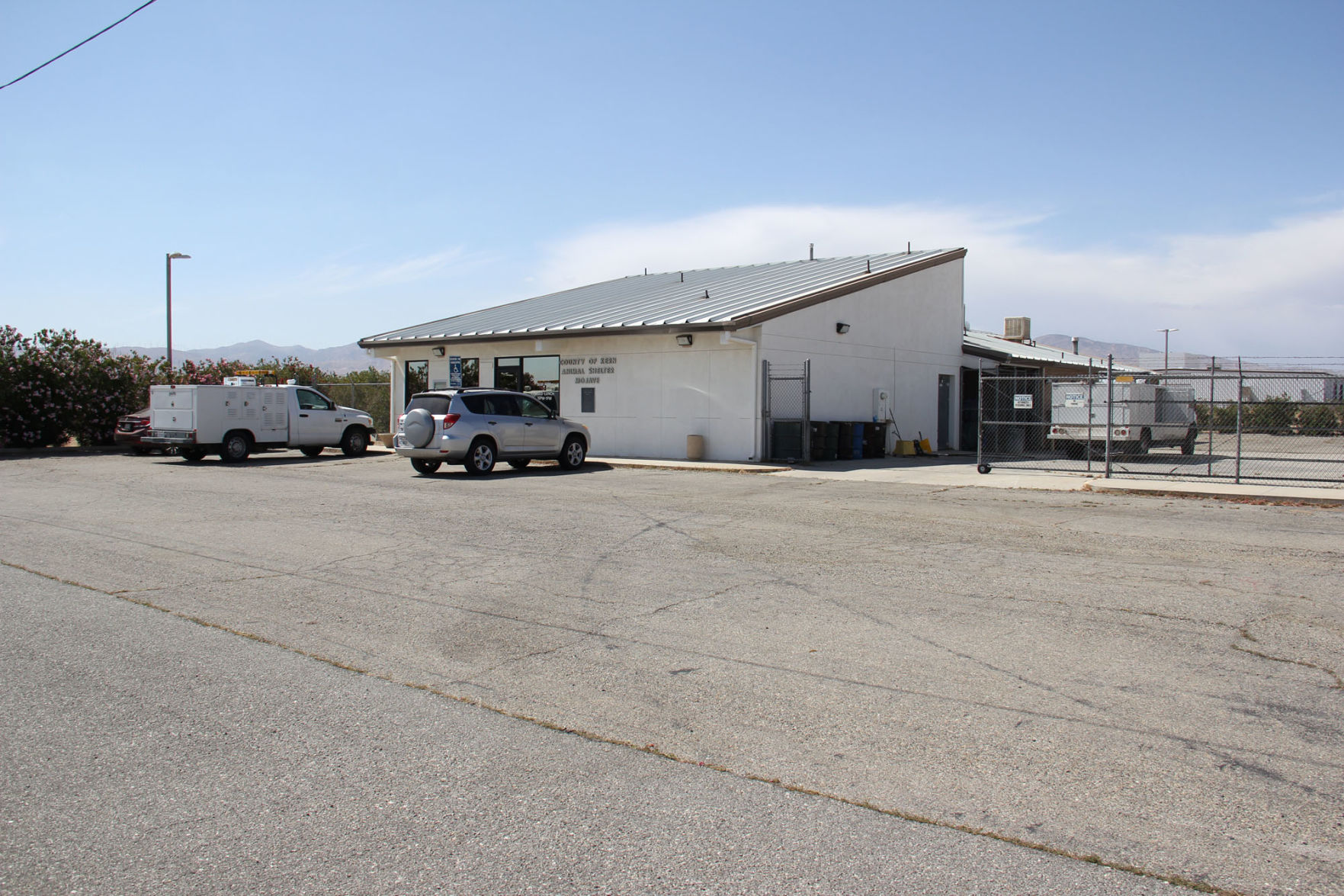 Mojave sales animal shelter