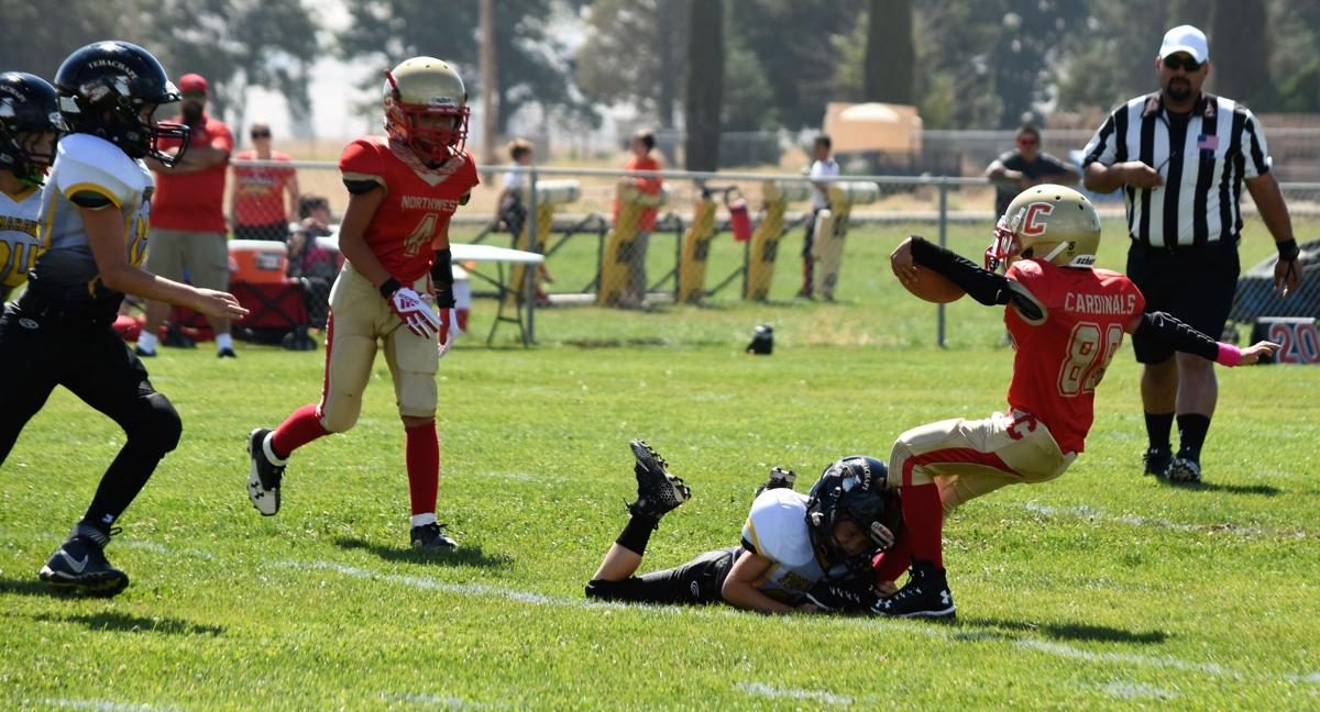 Tehachapi Tomahawks kick off first of eight home games Sports