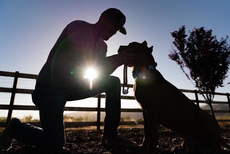 'A beautiful, bonding journey' Marley's Mutts rescues second