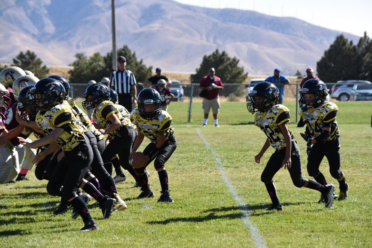 At Tehachapi Youth Football and Cheer, together we stand | Sports | tehachapinews.com At Tehachapi Youth Football and Cheer, together we stand | Sports | tehachapinews.com