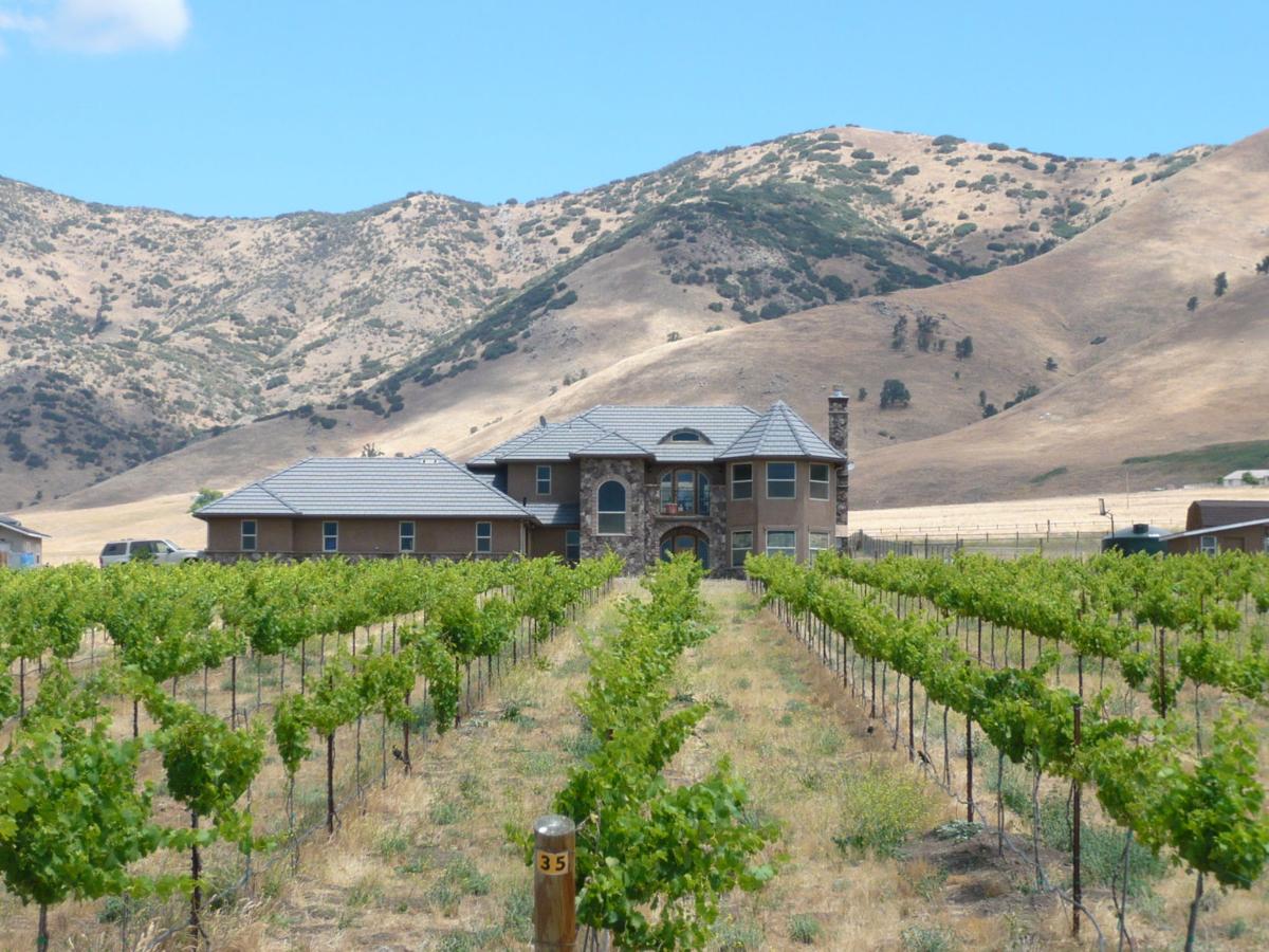 Visitor Guide Here’s to Tehachapi’s awarded wines
