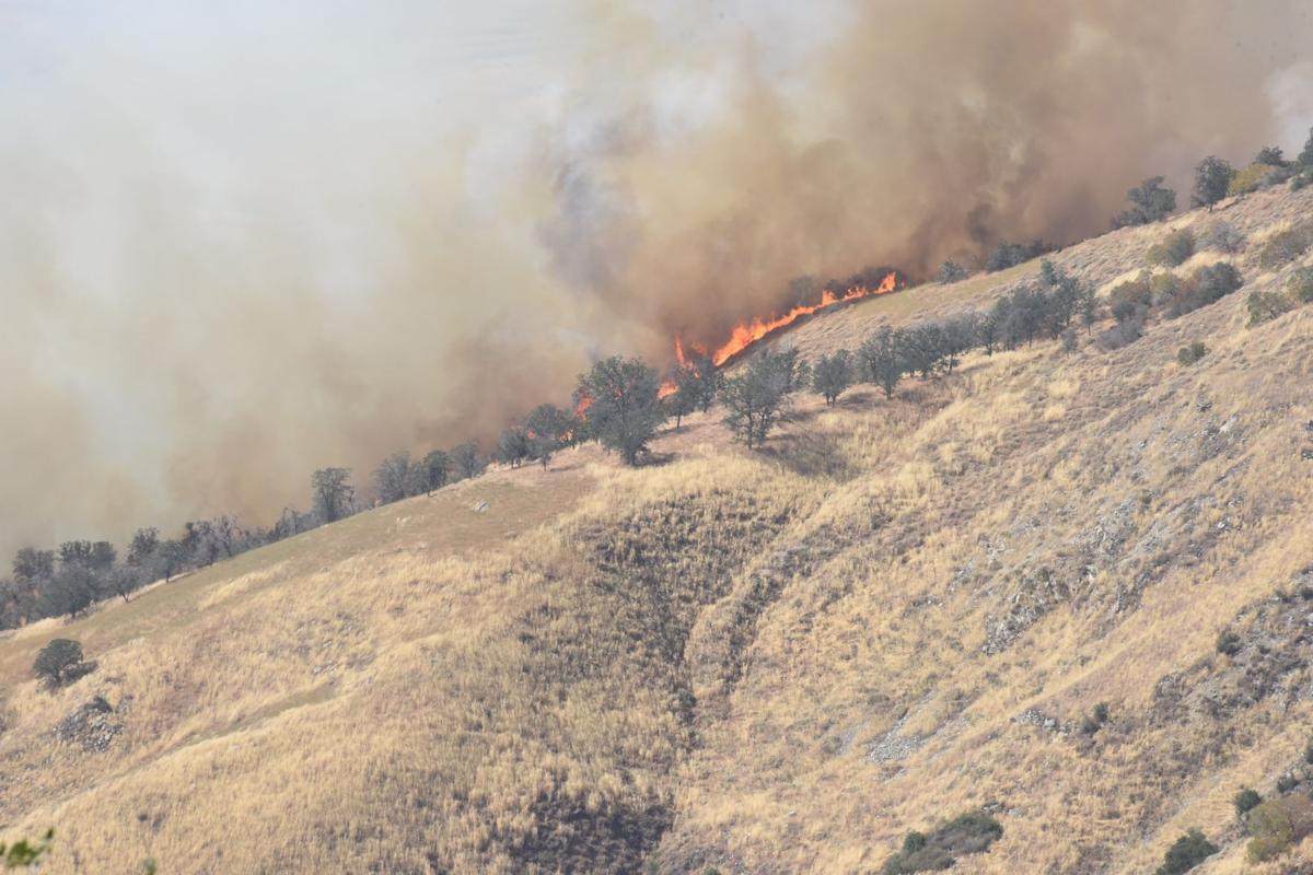 Fire burning toward Bear Valley Springs grows past 1,600 acres News