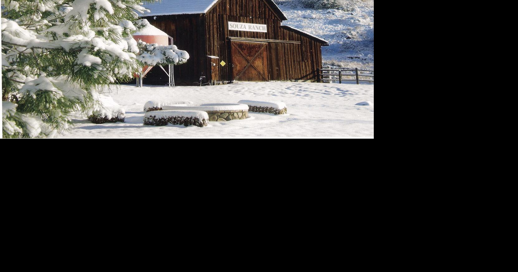 Visitor Guide: Here’s to Tehachapi’s awarded wines | Visitor-guide ...