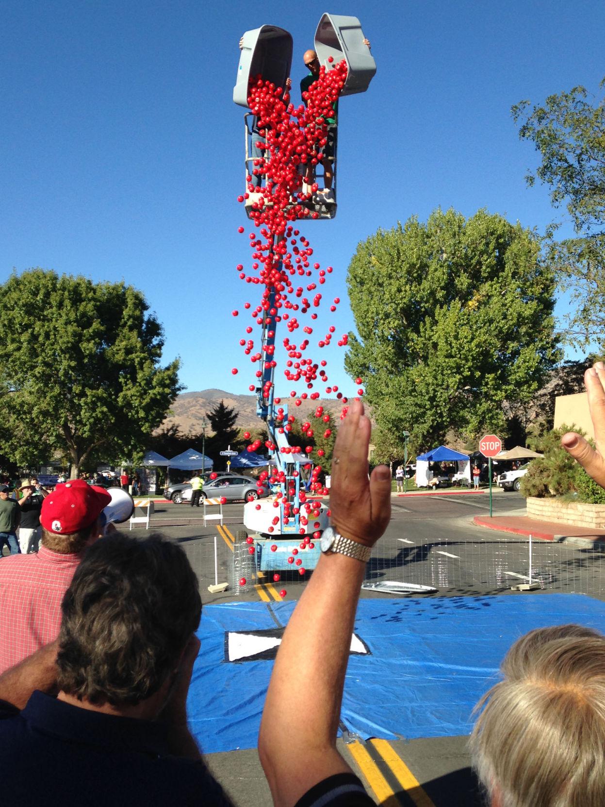 What is the Lions' Apple Drop? Your opportunity to win great prizes and