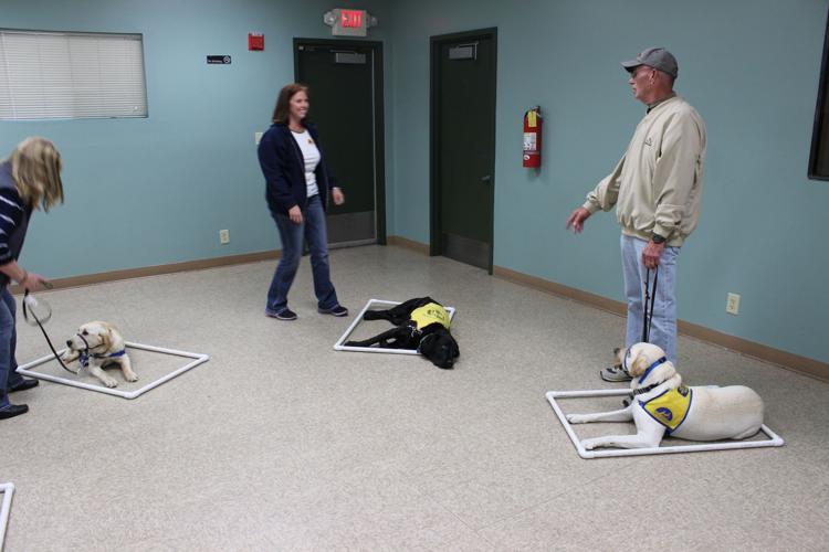 Why they do it Puppy raisers share their love for helping dogs, others