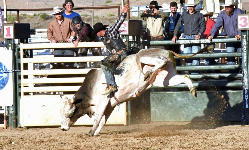 PHOTO GALLERY: Bad Bulls draws sellout crowd to Milano Arena | News ...