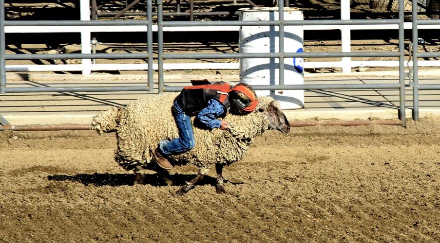 Tehachapi Rodeo Trick Riding PHOTO GALLERY: Riding, roping and arithmetic | Sports | tehachapinews.com