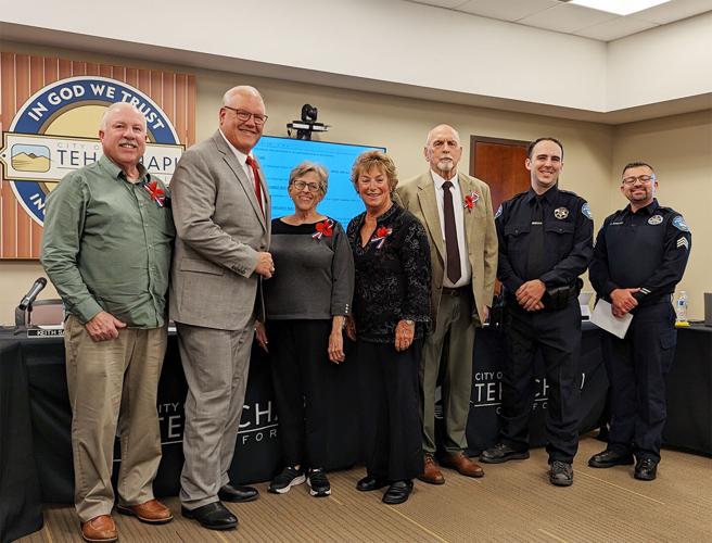 Briefs - Council with officers.jpg