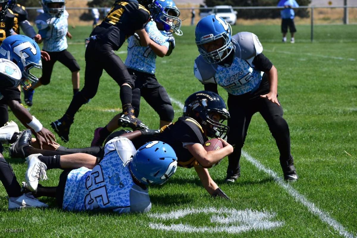 Fall is in the air at Tehachapi Youth Football & Cheer | Sports | tehachapinews.com Fall is in the air at Tehachapi Youth Football & Cheer | Sports | tehachapinews.com