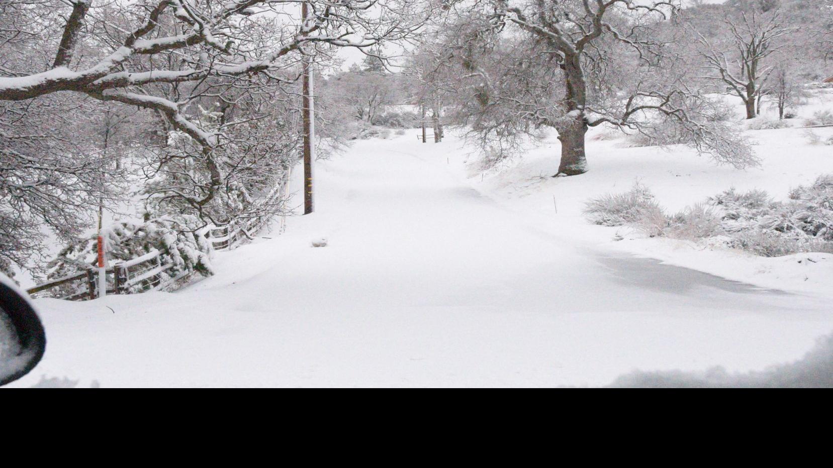 No Winter Lasts Forever No Spring Skips Its Turn News