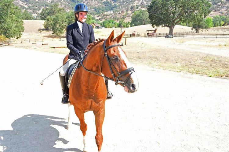 PHOTO GALLERY The art of riding a horse on display Lifestyle