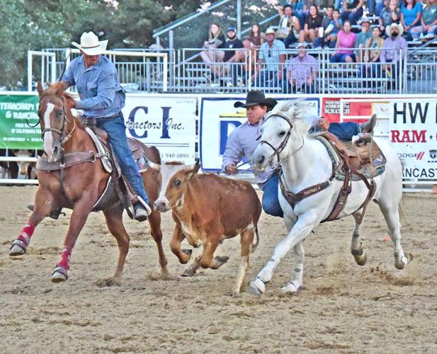 Carnival, rodeo and Tehachapi Apple Festival provide plenty of fun for