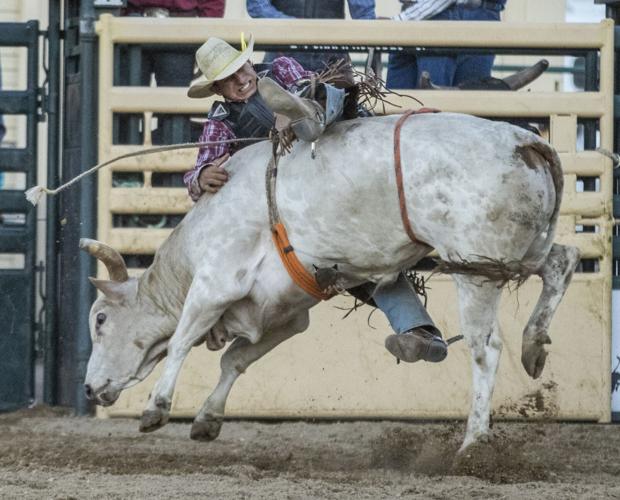 PHOTO GALLERY: Benz Bad Bulls rodeo attracts sellout crowd | Lifestyle ...