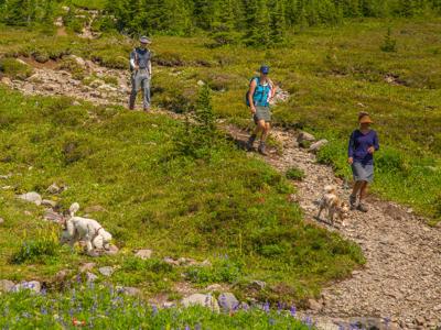 Become A Trail Angel For Those Hiking The Pacific Crest Trail