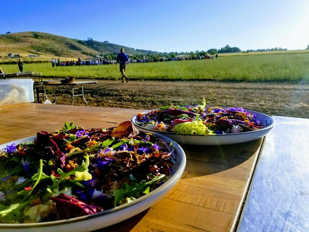 Pen In Hand La Food Bowl Event At Weiser Family Farms Lifestyle