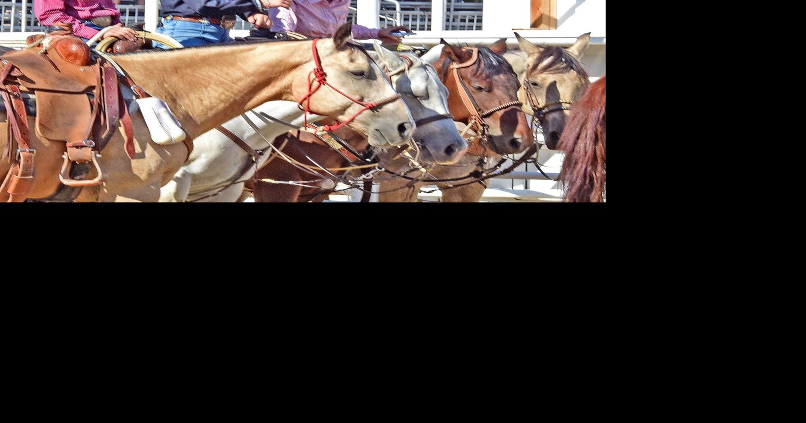 PHOTO GALLERY: Riding, roping and arithmetic | Sports | tehachapinews.com