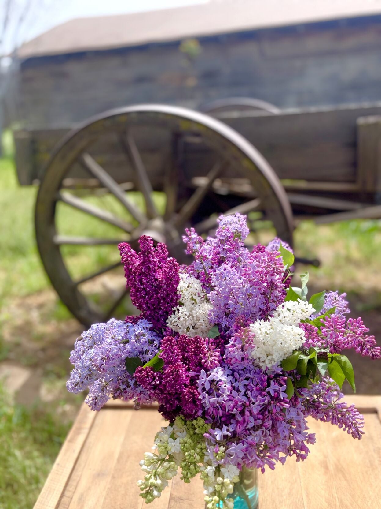 Pen In Hand: Lilac Town, Calif. | Lifestyle | tehachapinews.com