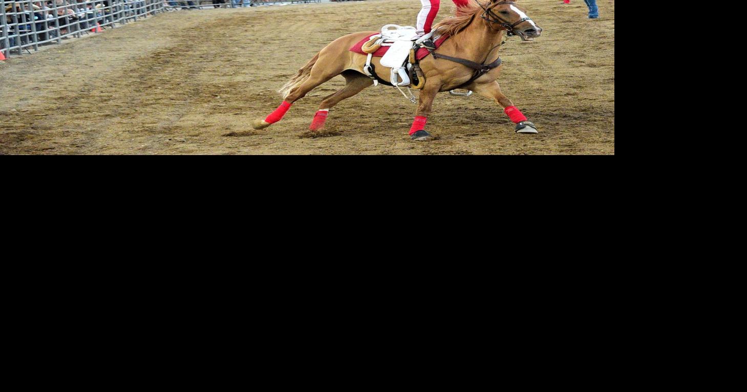 PHOTO GALLERY Bad Bulls Rodeo entertains crowd Multimedia