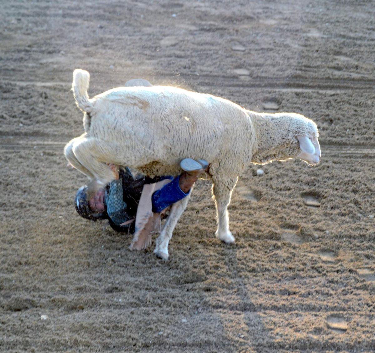 Rodeo_1474.JPG