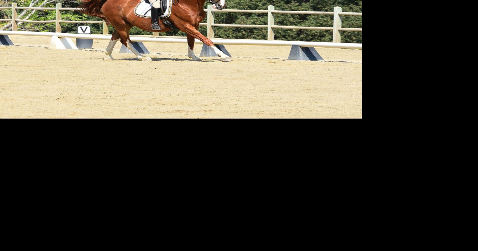 PHOTO GALLERY The art of riding a horse on display Lifestyle
