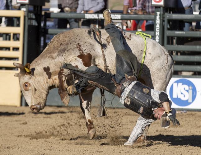 PHOTO GALLERY: Benz Bad Bulls rodeo attracts sellout crowd | Lifestyle ...