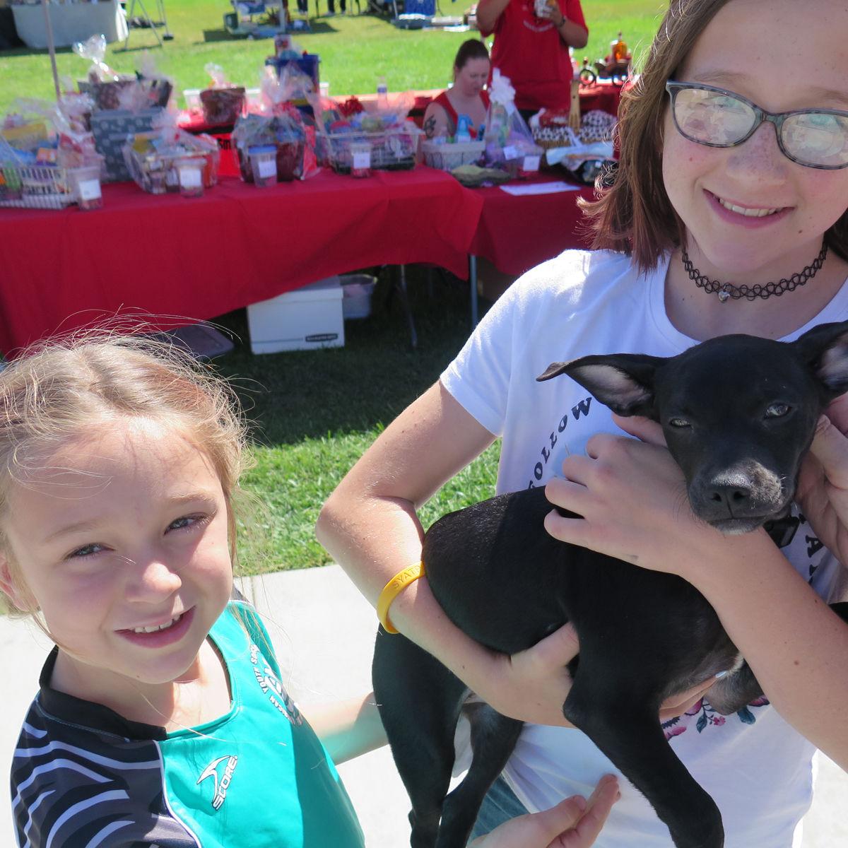 Photo Gallery Gone To The Dogs 5k Fun Run Was The Bark Of The