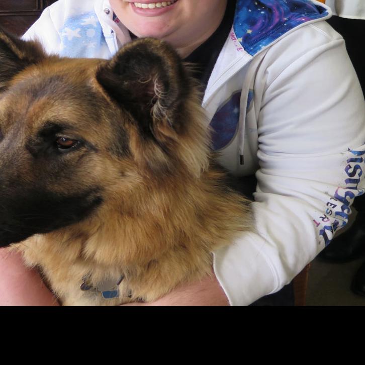 Canine Creek To Host Grand Reopening As Fundraiser News Tehachapinews Com