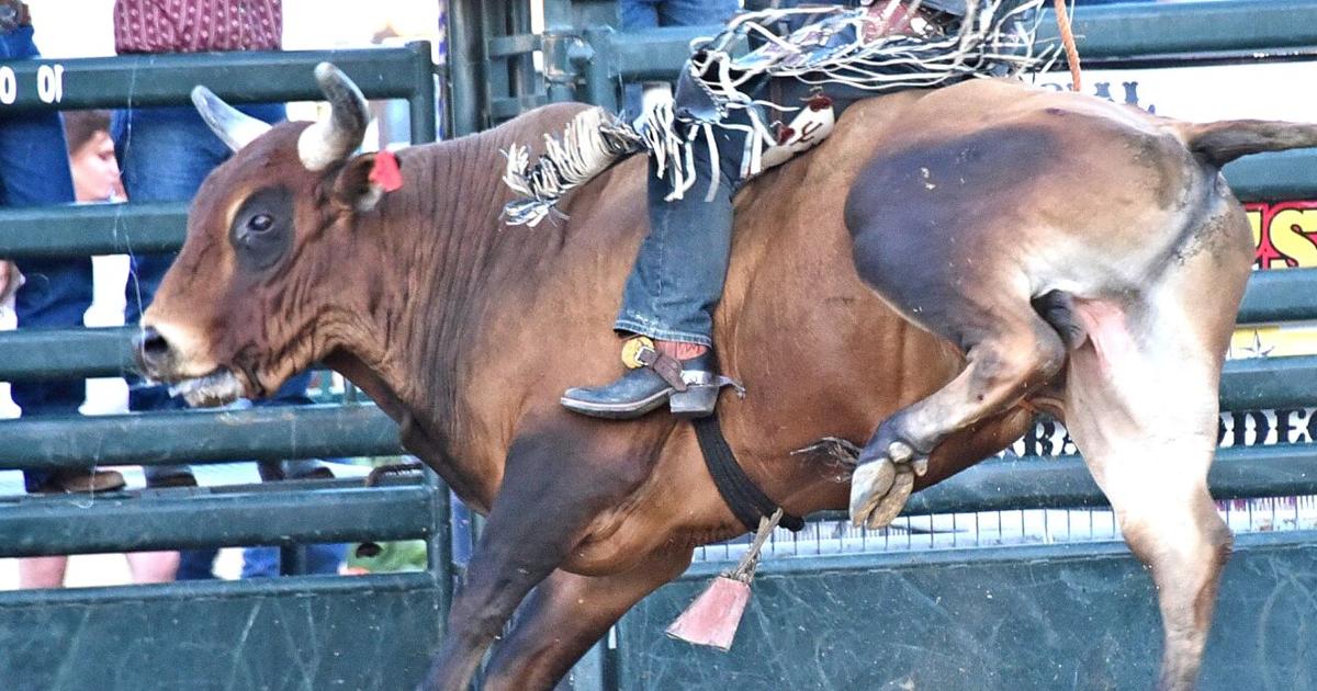 Bad Dog Rodeo PHOTO GALLERY: Bad Bulls take over Tehachapi Rodeo Grounds | Sports ...