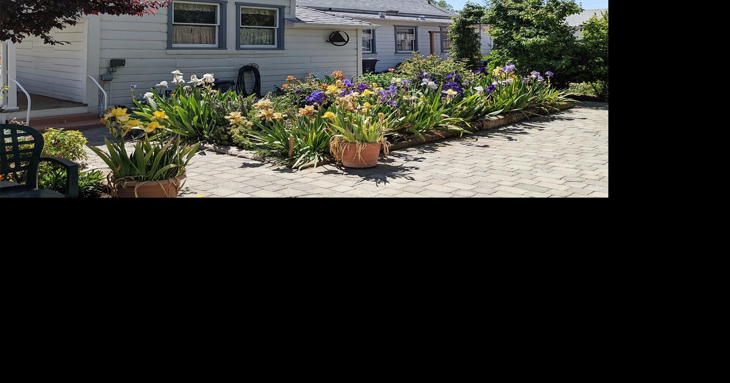 Errea House Rummage Sale supports museum | Lifestyle | tehachapinews.com