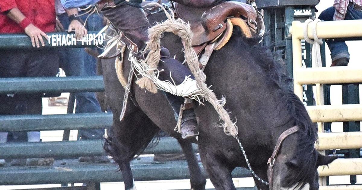 Rodeo kicks off Mountain Festival weekend | Lifestyle | tehachapinews.com