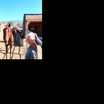 Racehorse rescue: Discarded thoroughbreds find a rest home in Tehachapi