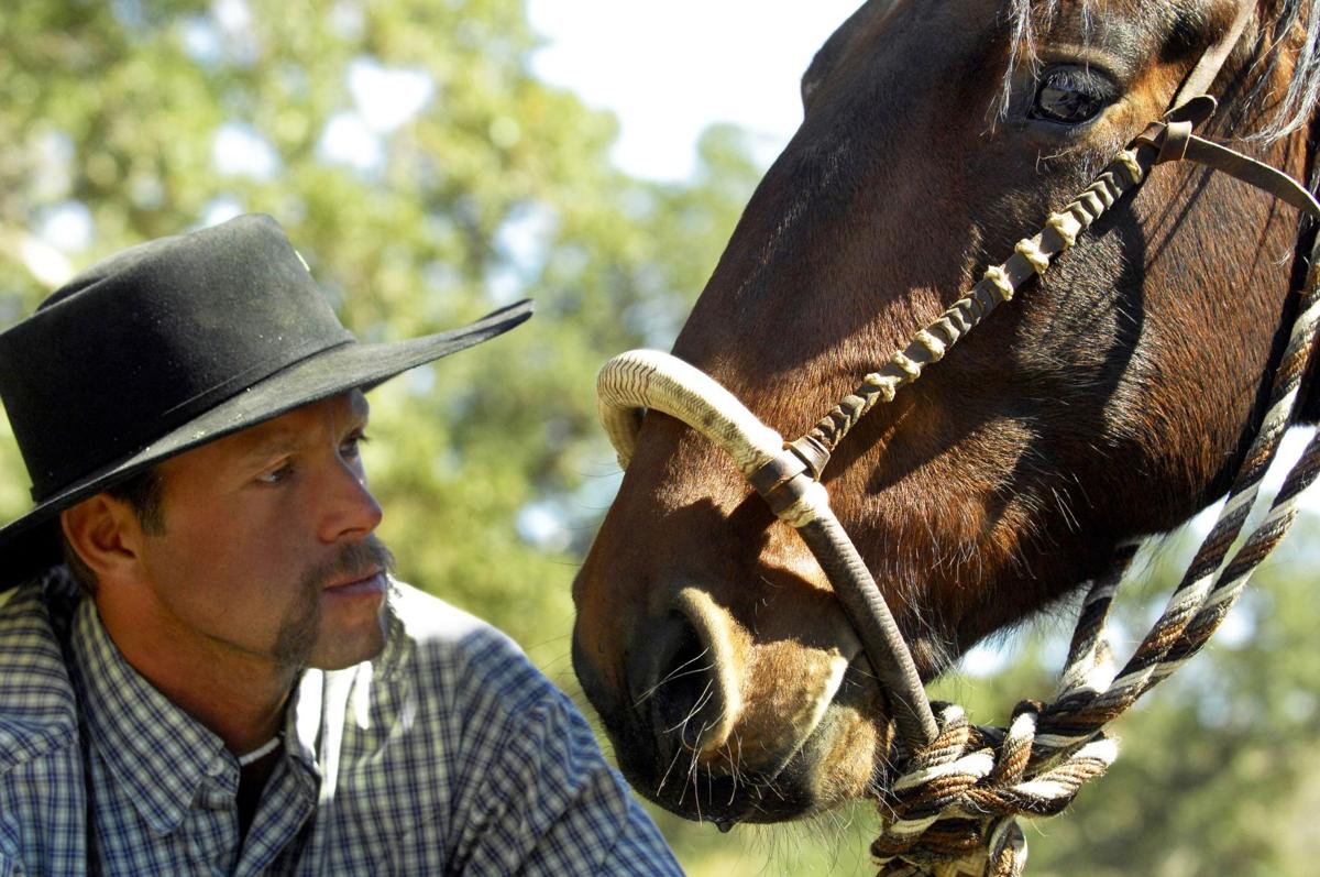 Pen in Hand Oak Creek Wild Horses star in the horse event of the year