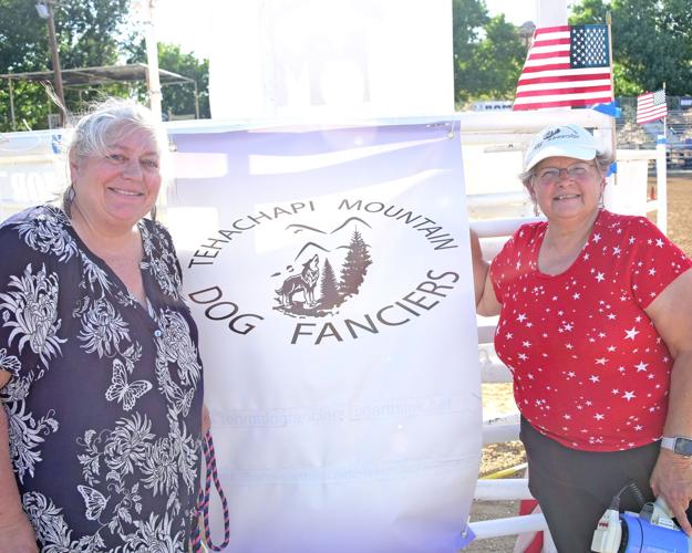 PHOTO GALLERY Fancy your dog? Club hosts children's pet parade