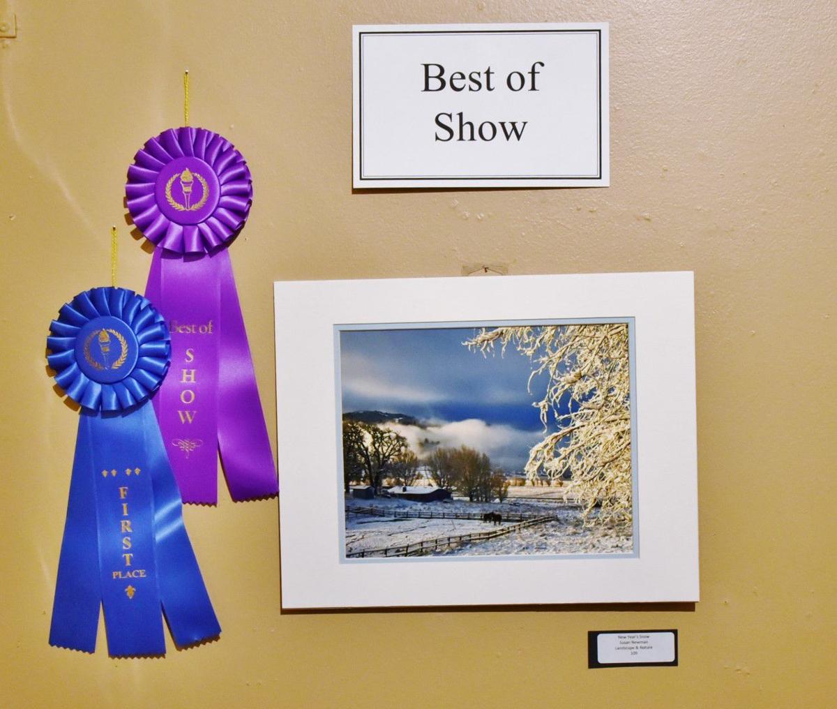 Photo contest 6801