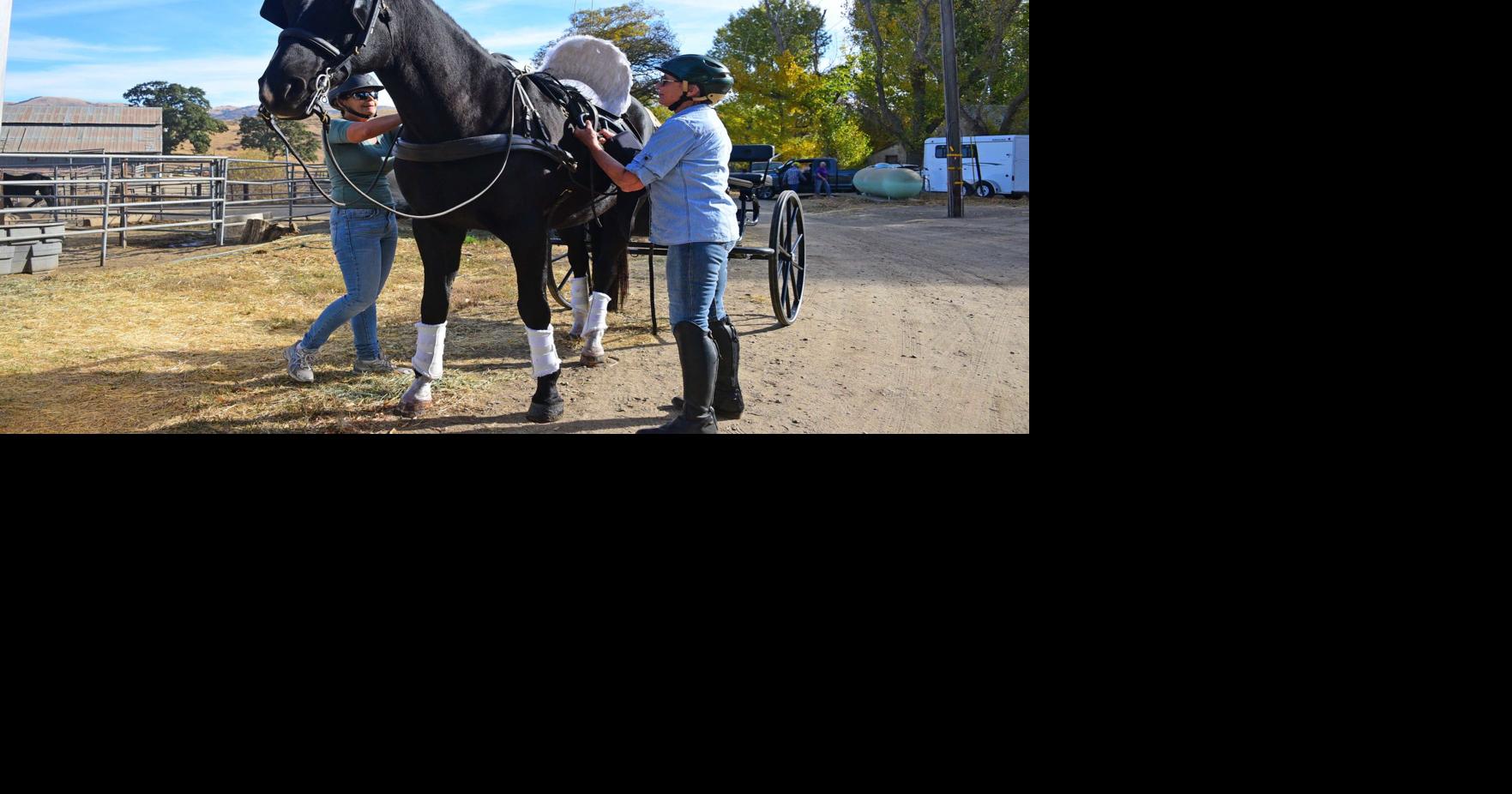 Visitor Guide Horseback riding
