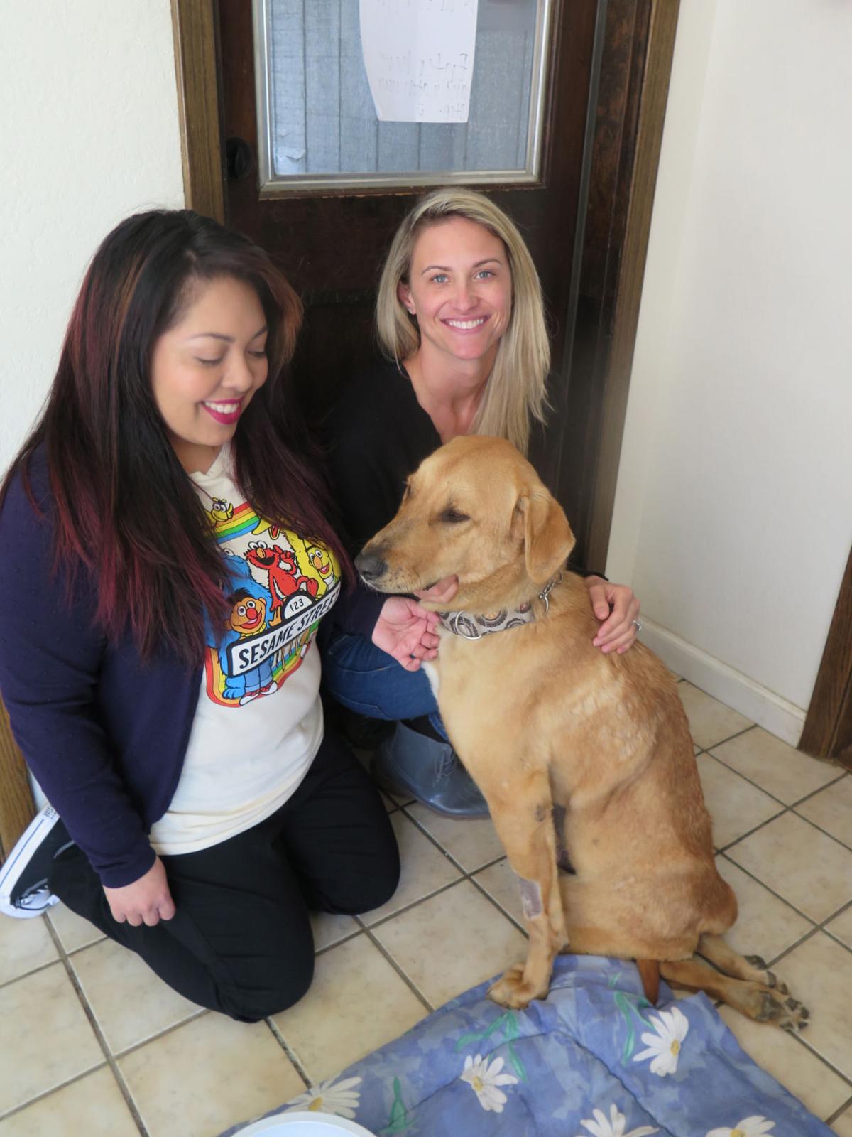 Marley's Mutts continues to grow its rescue operations Lifestyle