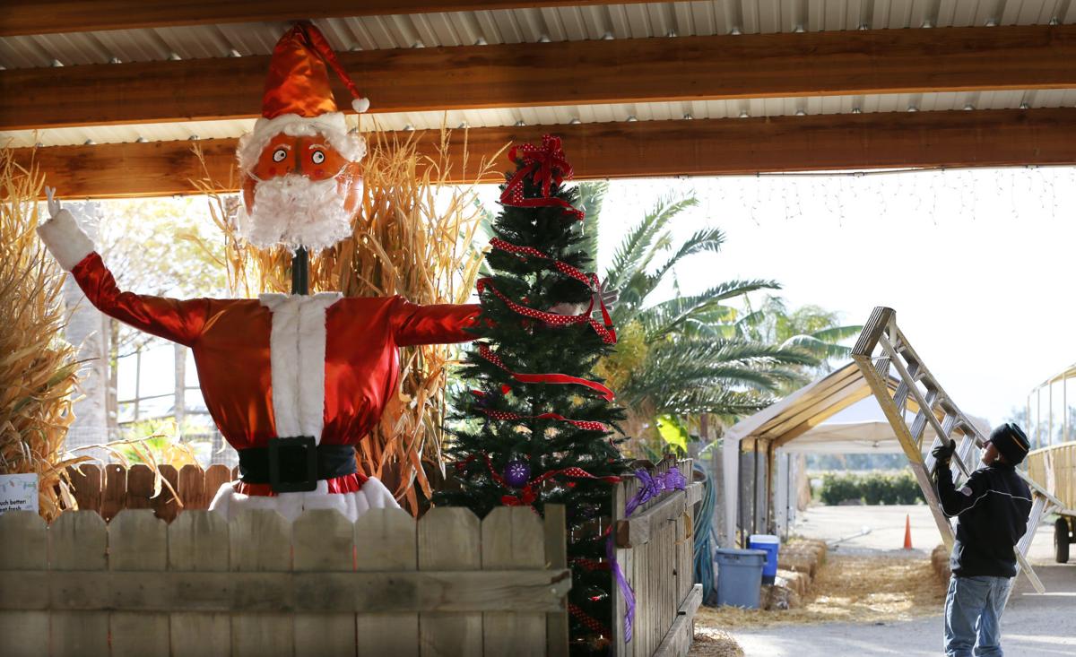 Santa hits Murray Family Farms, all December long Lifestyle