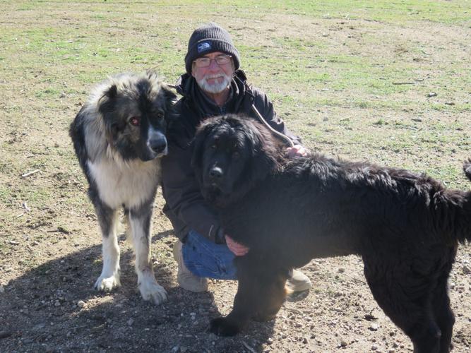 Marley's Mutts continues to grow its rescue operations Lifestyle