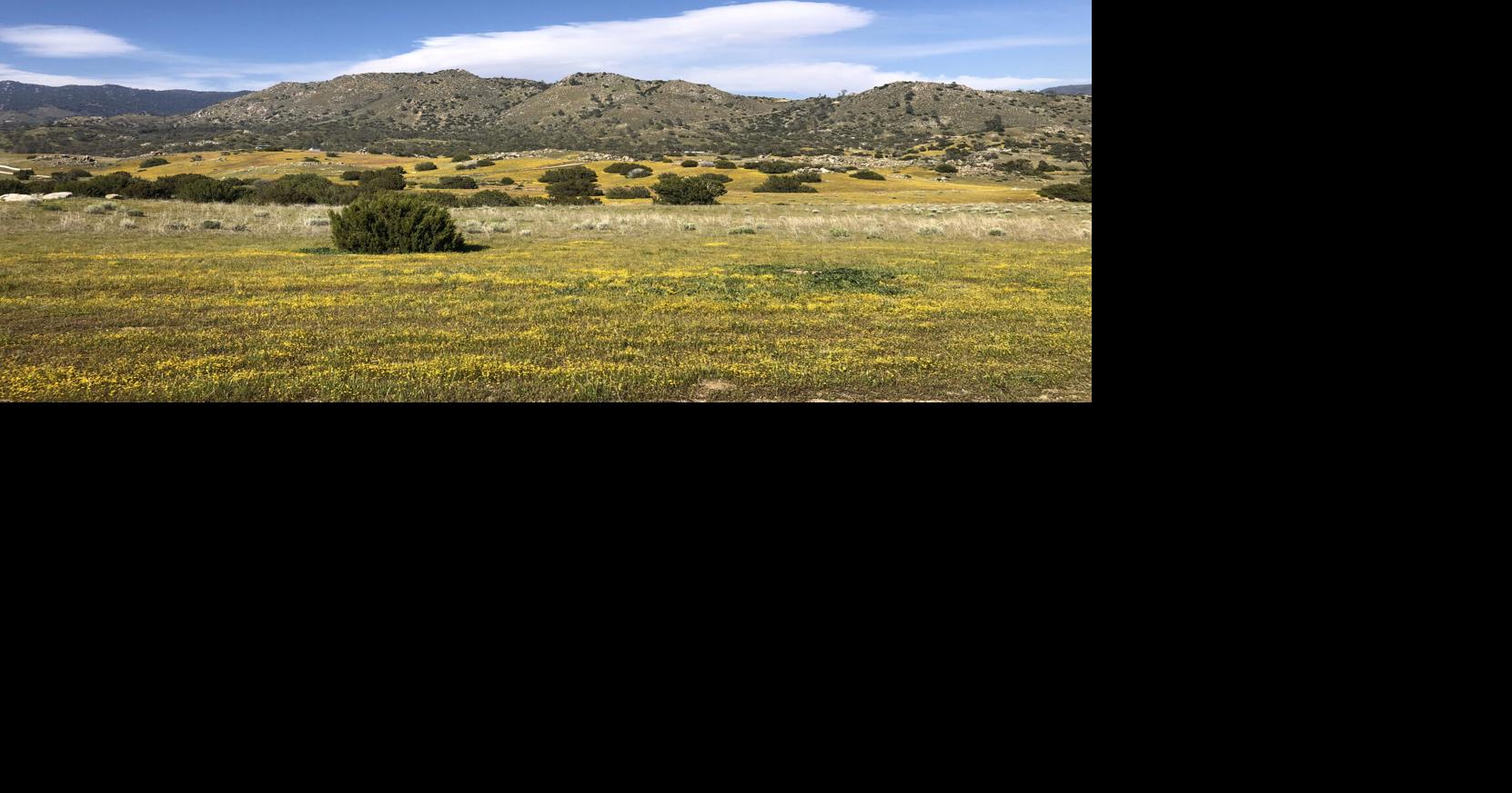 Pen in Hand: A stellar spring in the Tehachapi Mountains | Lifestyle ...