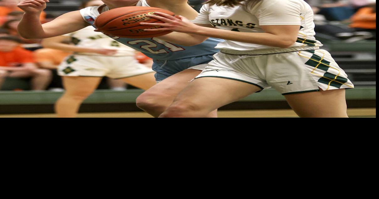 Girls basketball: Feldhacker's big night sends Hempstead past Senior ...