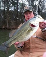 Local bass anglers impress southerners
