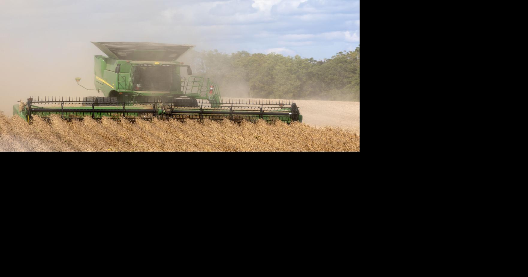 Area farmers optimistic for harvest despite dry spell | Tri-state News ...
