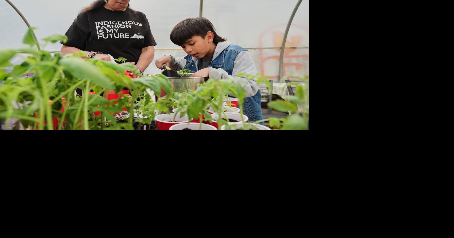 Tribes hope Farm Bill can feed more people, preserve Indigenous culture