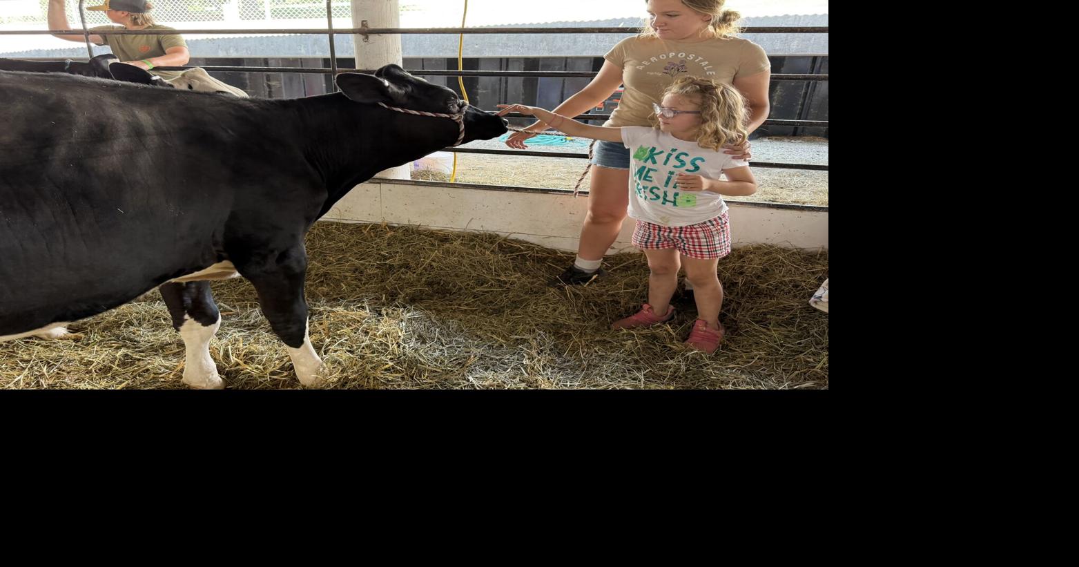 Attendees celebrate sunny skies at Lafayette County Fair