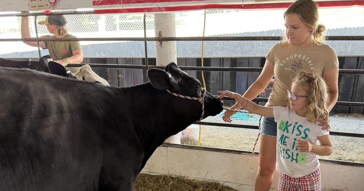 Attendees celebrate sunny skies at Lafayette County Fair